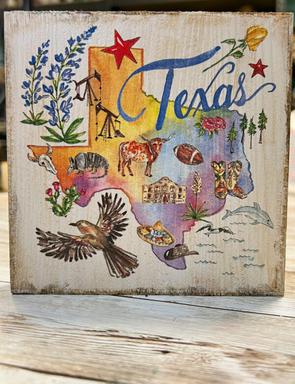 5X5 Texas Shelf Sitter - Image 2